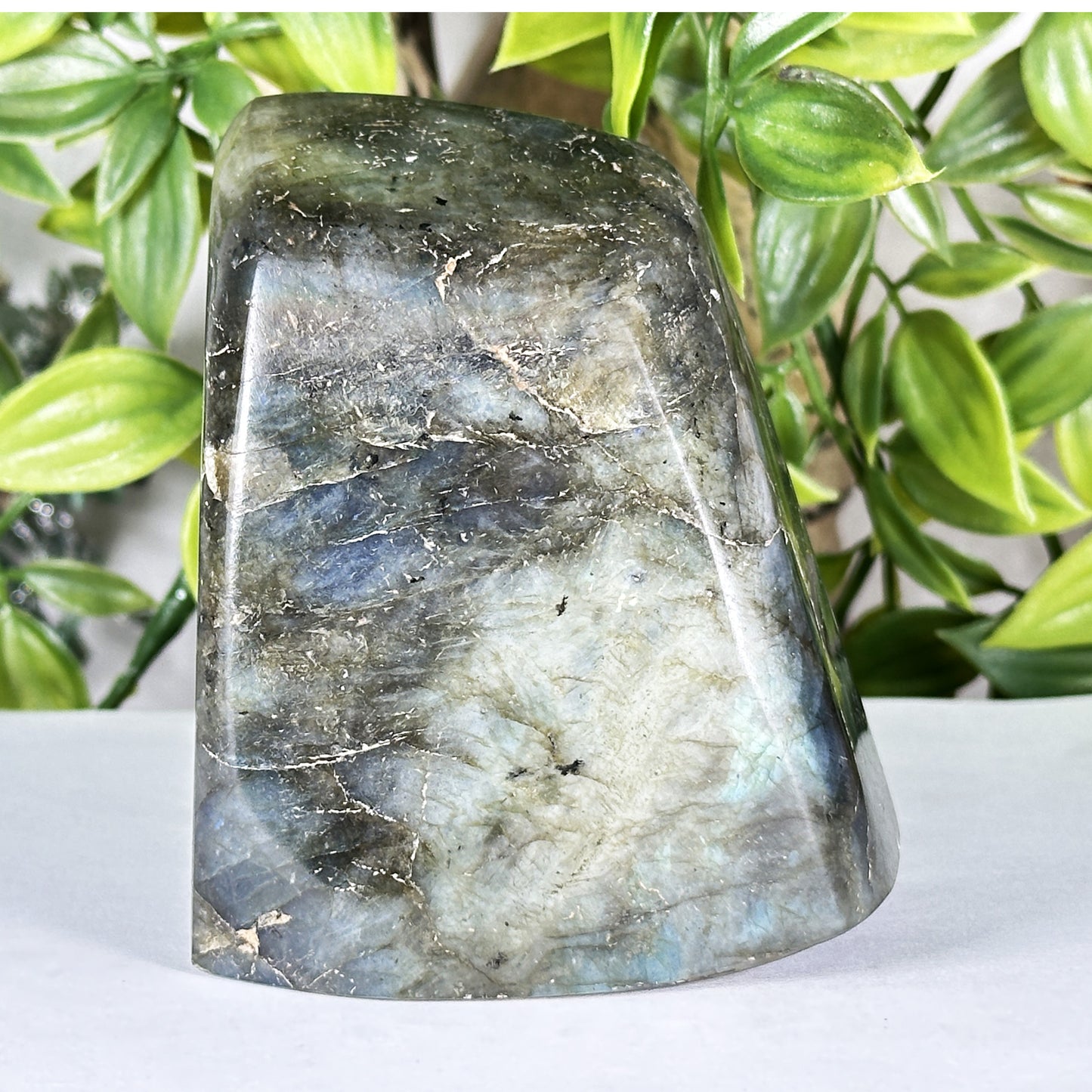 Labradorite Crystal Freeform - Gem Avenue