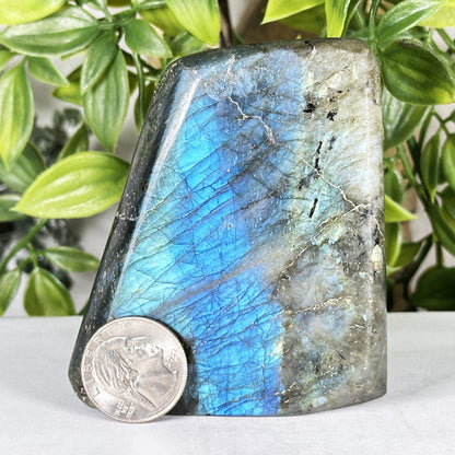 Labradorite Crystal Freeform - Gem Avenue