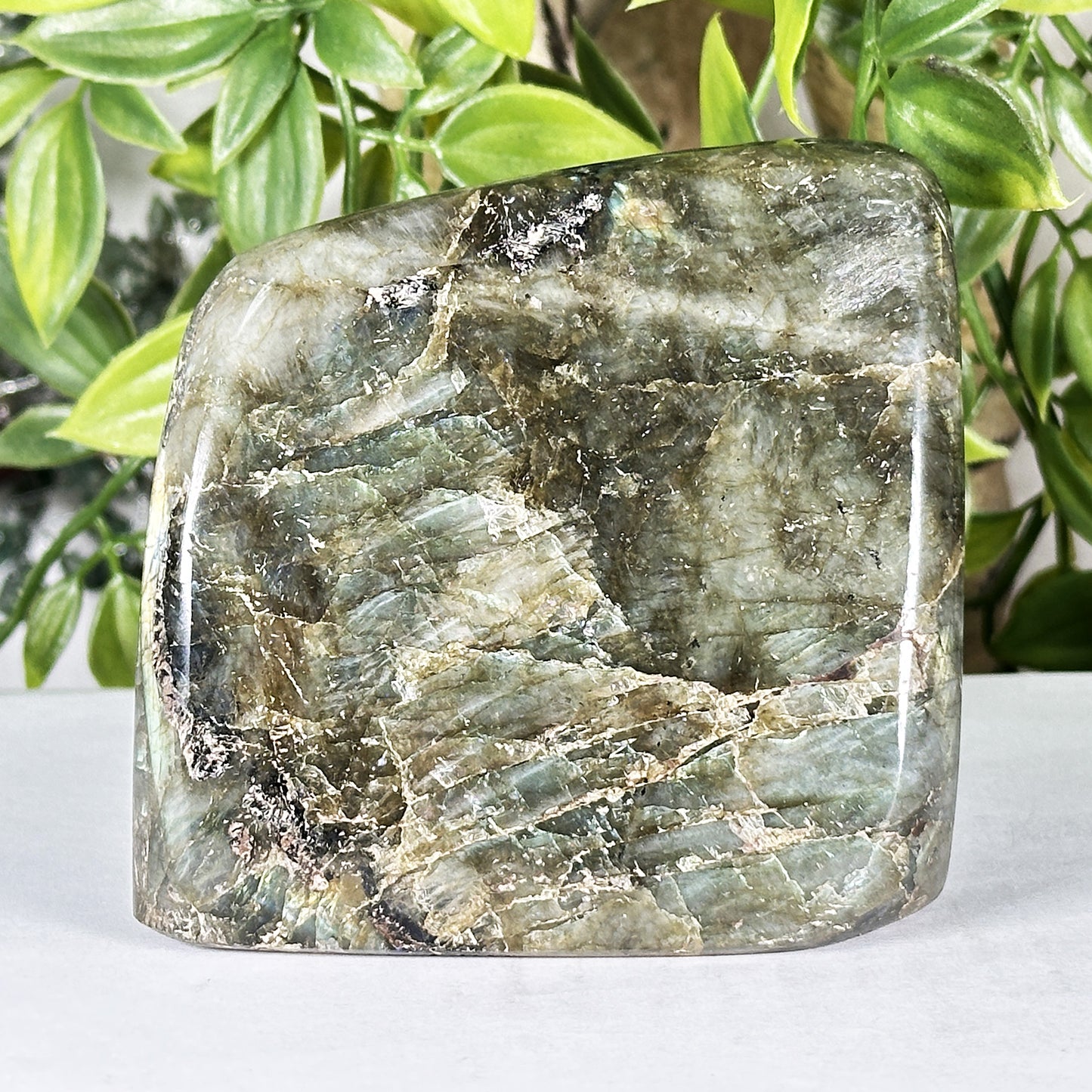 Labradorite Crystal Freeform - Gem Avenue