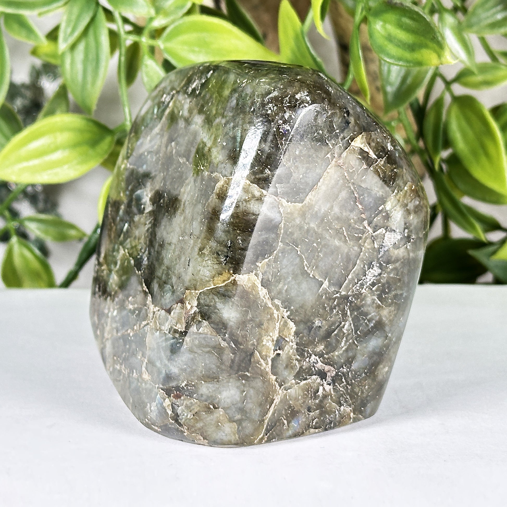 Labradorite Crystal Freeform - Gem Avenue