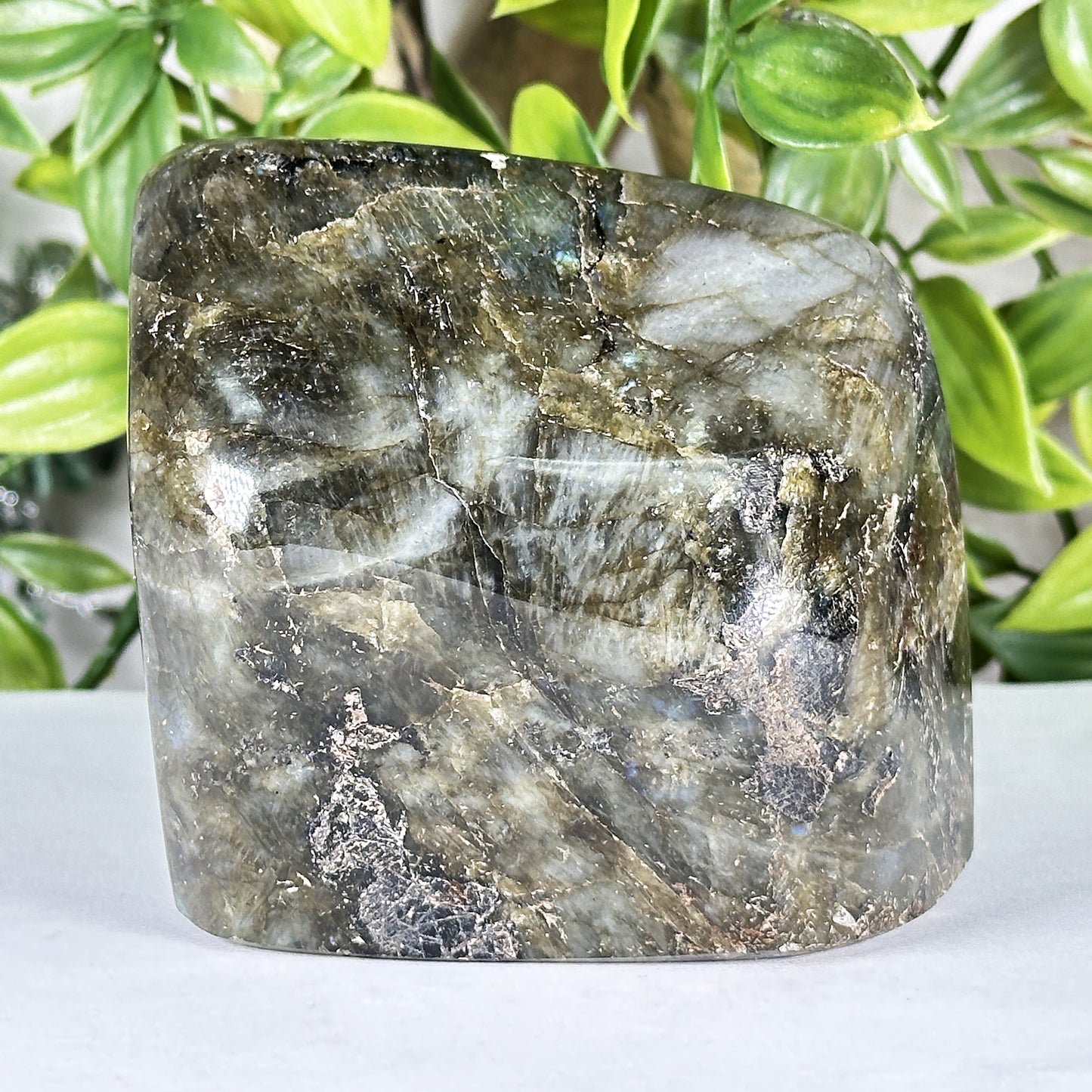 Labradorite Crystal Freeform - Gem Avenue