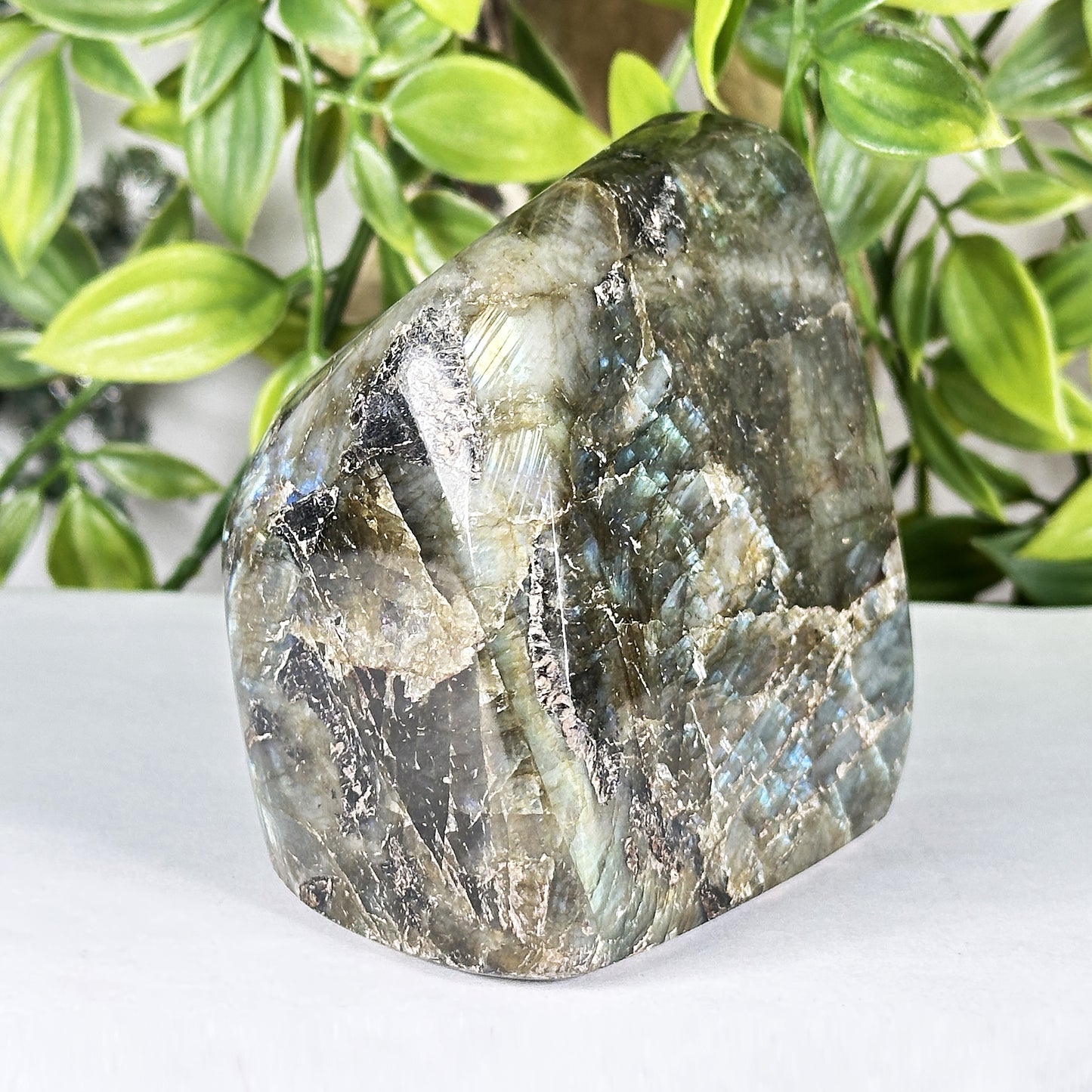 Labradorite Crystal Freeform - Gem Avenue