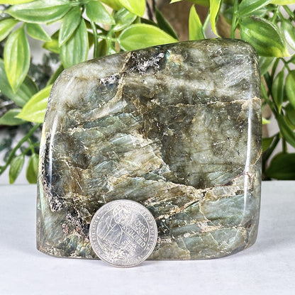 Labradorite Crystal Freeform - Gem Avenue