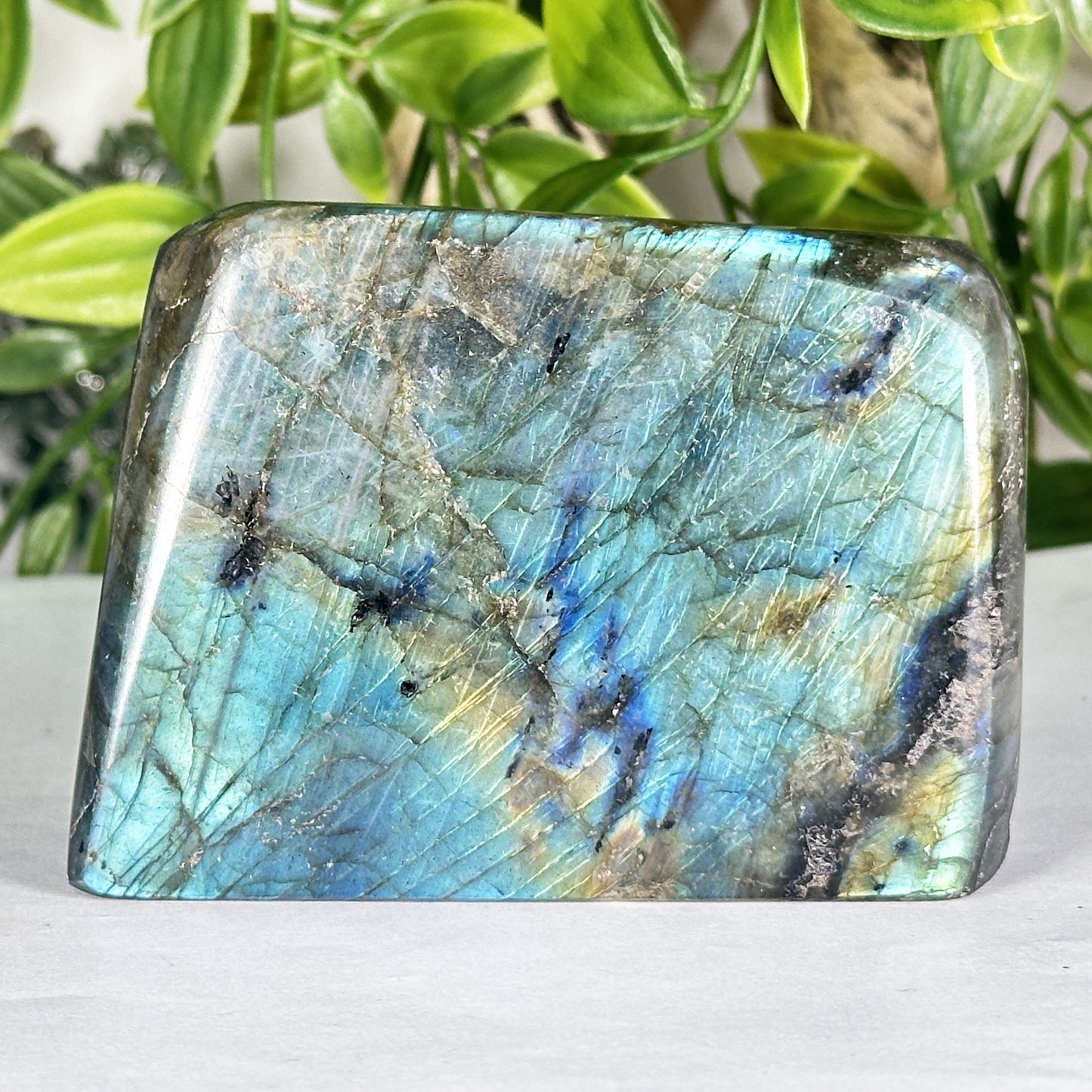 Natural Polished Labradorite Freeform Madagascar Display Stone - RPS556