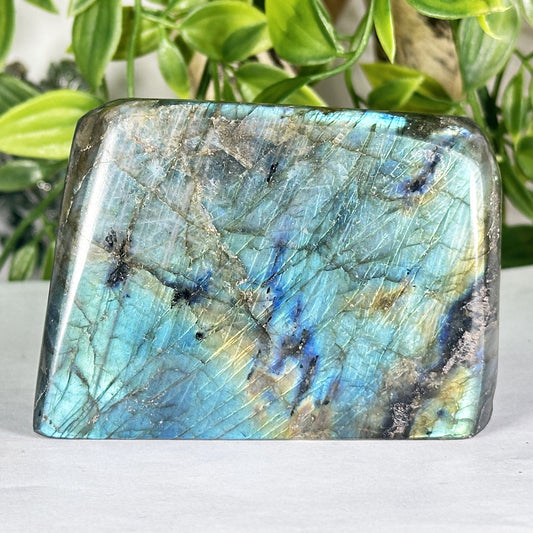 Natural Polished Labradorite Freeform Madagascar Display Stone - RPS556