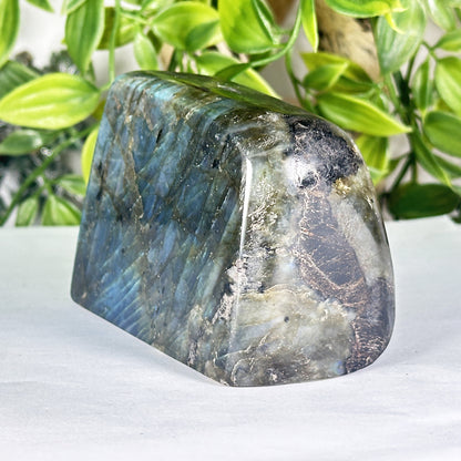 Natural Polished Labradorite Freeform Madagascar Display Stone - RPS556
