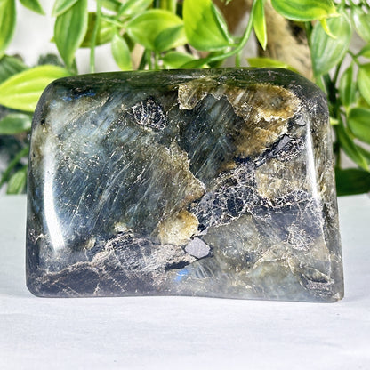 Natural Polished Labradorite Freeform Madagascar Display Stone - RPS556