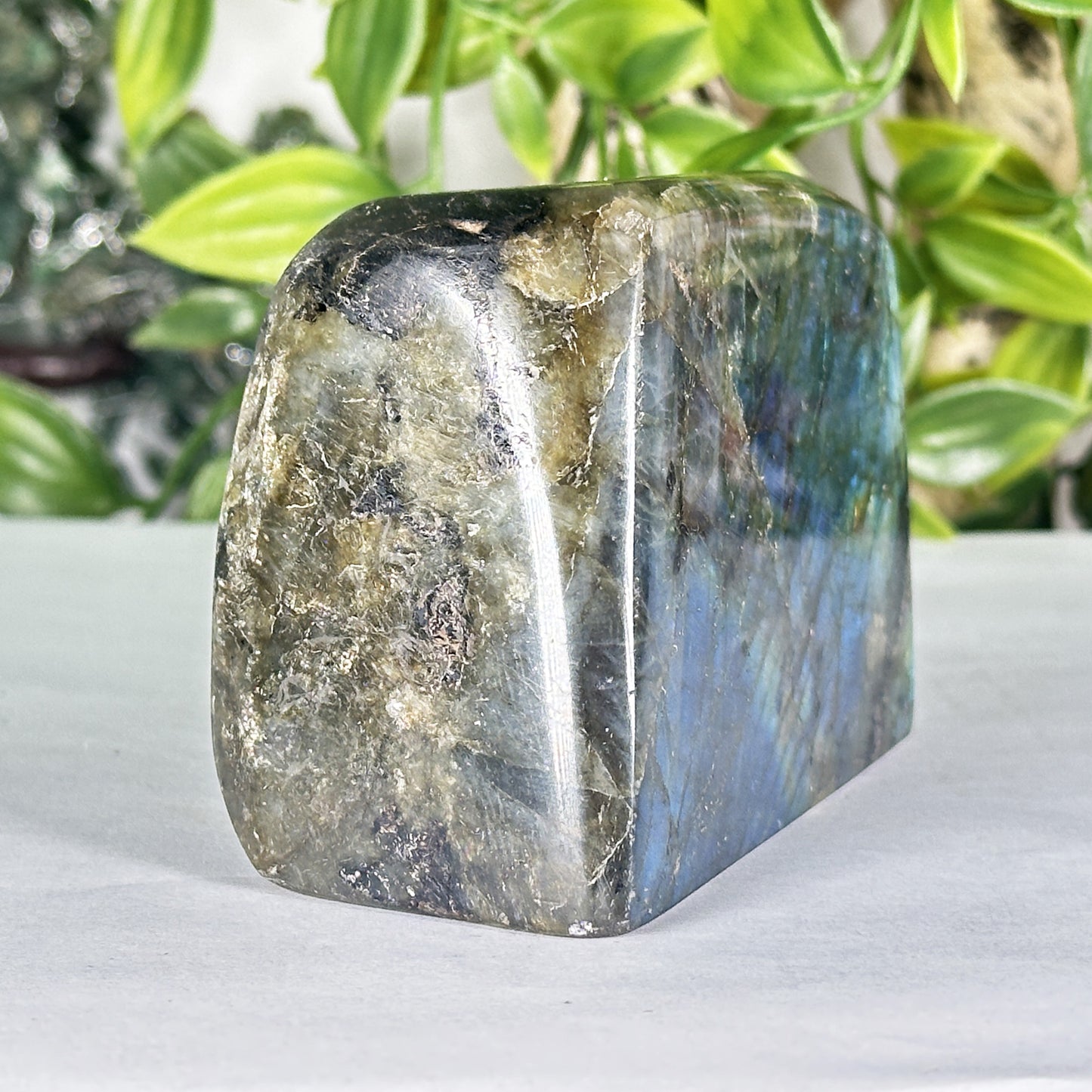 Natural Polished Labradorite Freeform Madagascar Display Stone - RPS556