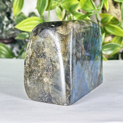 Natural Polished Labradorite Freeform Madagascar Display Stone - RPS556