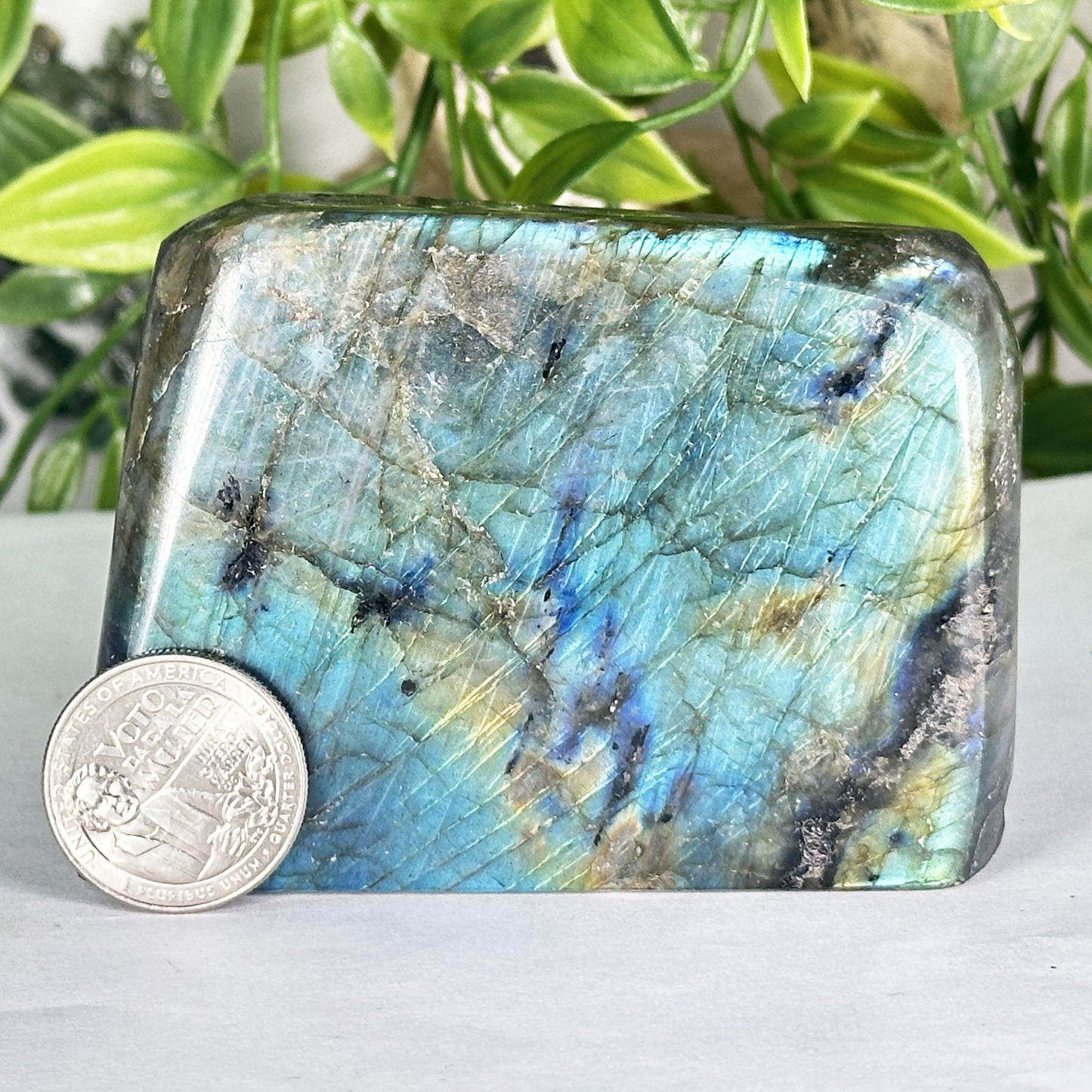 Natural Polished Labradorite Freeform Madagascar Display Stone - RPS556