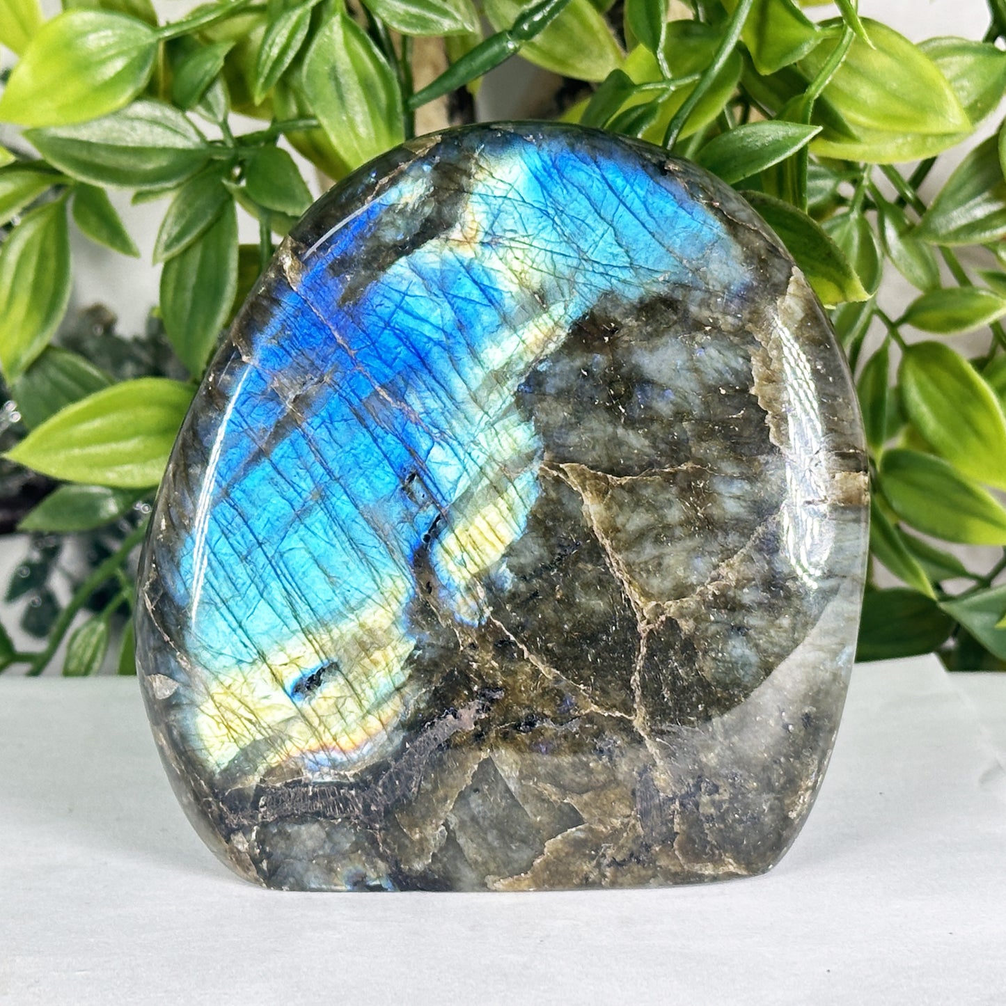 Natural Madagascar Labradorite Freeform Polished Stone with Bright Blue Flash - RPS557