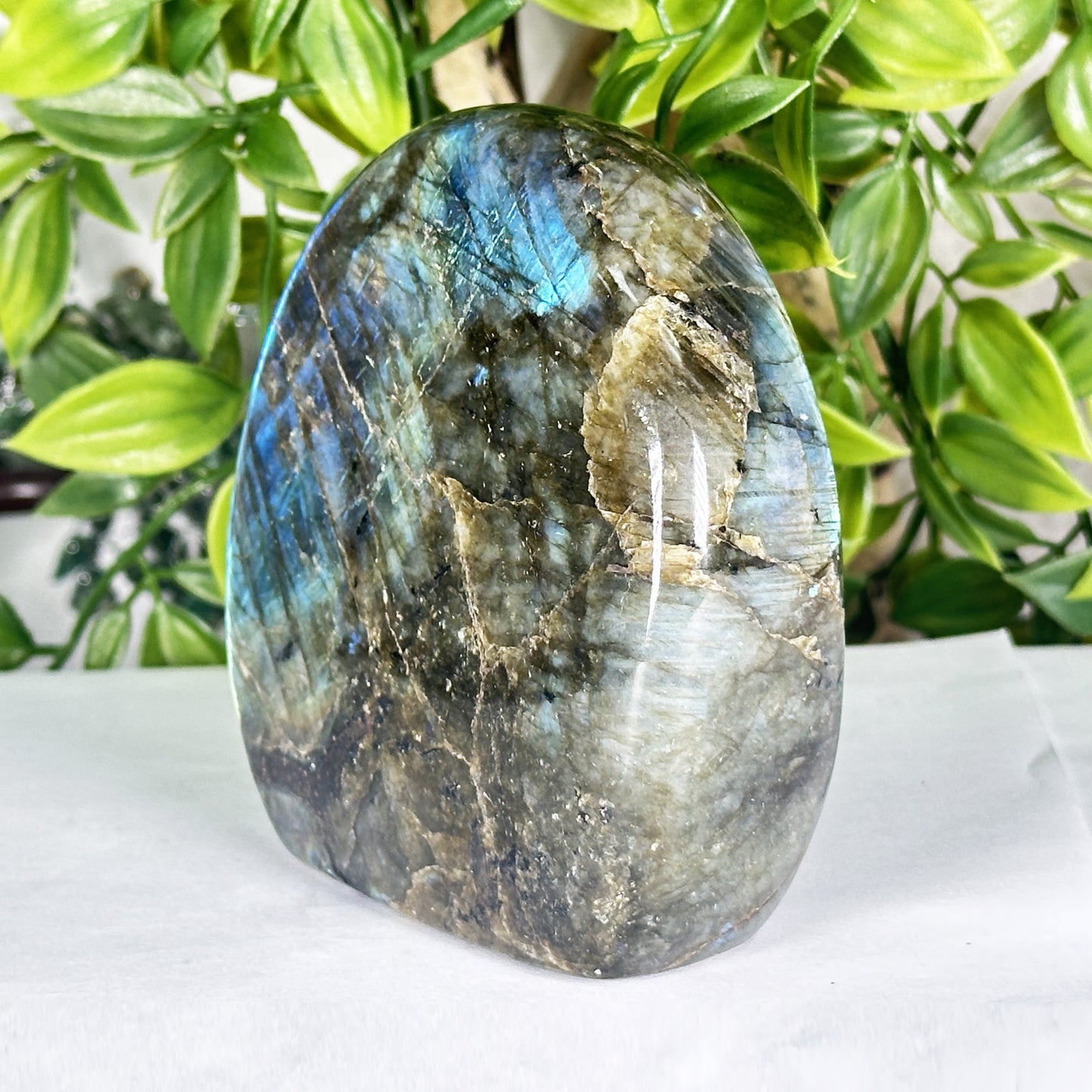 Natural Madagascar Labradorite Freeform Polished Stone with Bright Blue Flash - RPS557