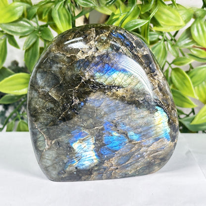 Natural Madagascar Labradorite Freeform Polished Stone with Bright Blue Flash - RPS557