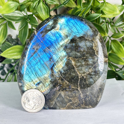 Natural Madagascar Labradorite Freeform Polished Stone with Bright Blue Flash - RPS557