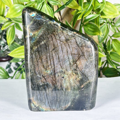 Natural Madagascar Labradorite Freeform Polished Stone with Subtle Blue and Gold Flash - RPS558