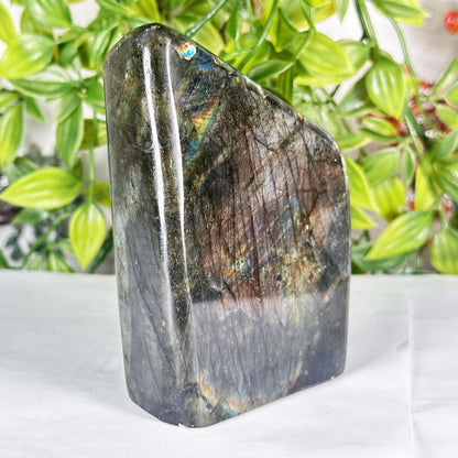 Natural Madagascar Labradorite Freeform Polished Stone with Subtle Blue and Gold Flash - RPS558