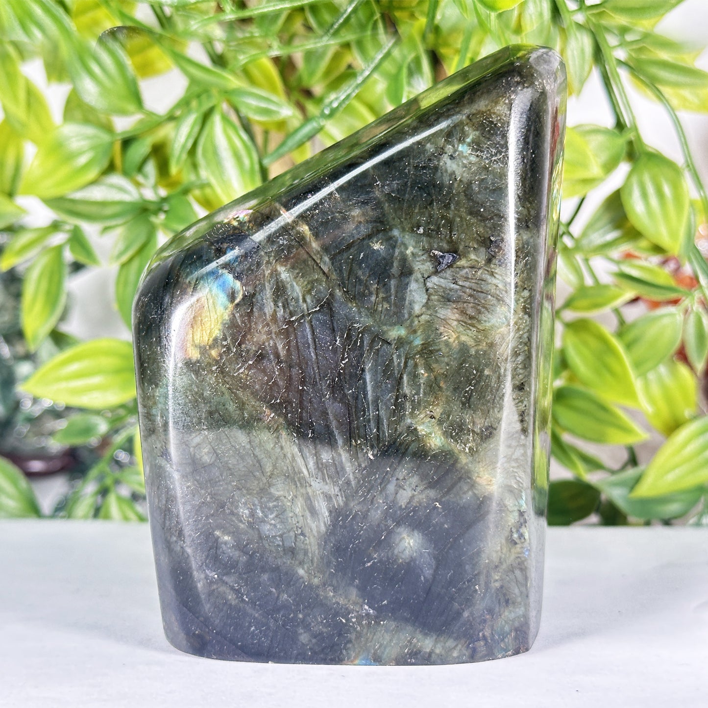 Natural Madagascar Labradorite Freeform Polished Stone with Subtle Blue and Gold Flash - RPS558