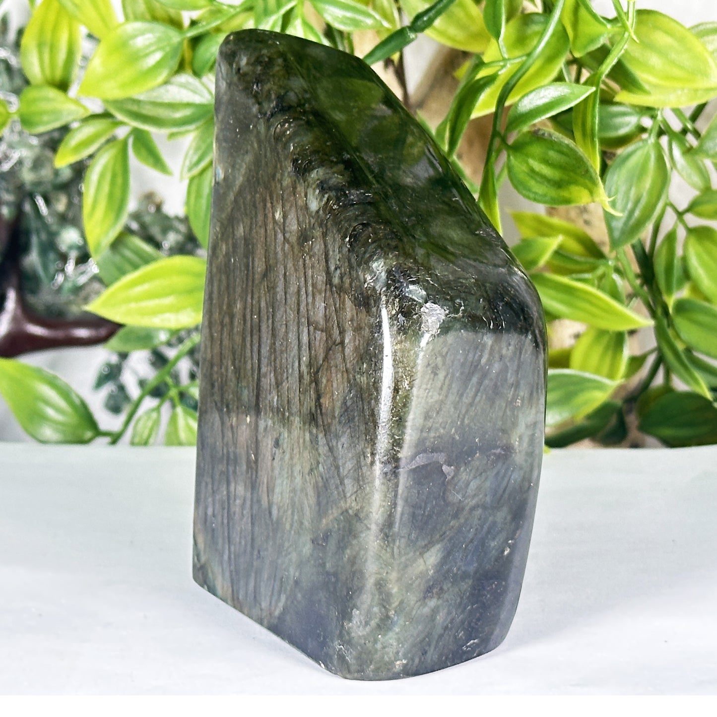 Natural Madagascar Labradorite Freeform Polished Stone with Subtle Blue and Gold Flash - RPS558