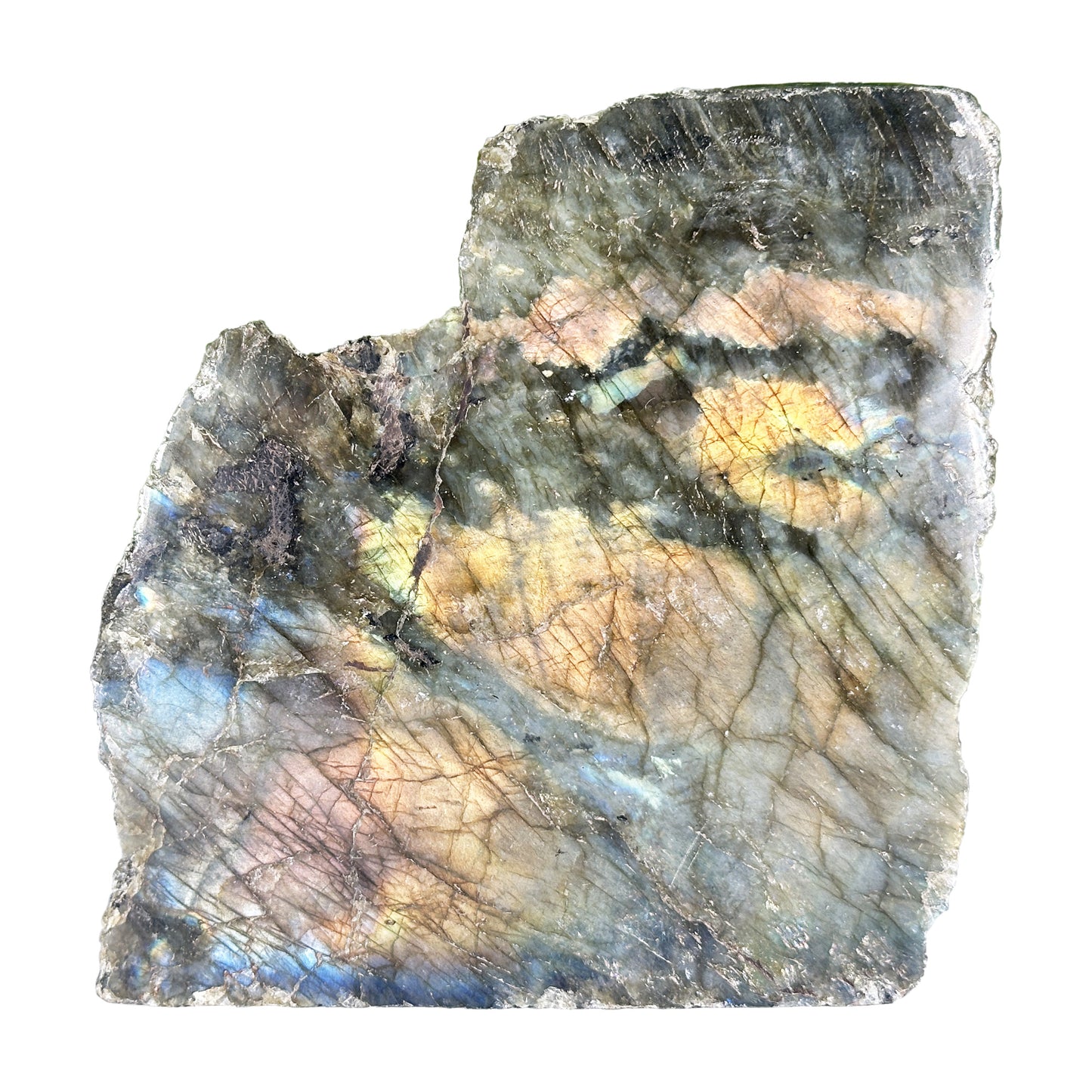 Natural Madagascar Labradorite Freeform Polished Stone with Golden and Blue Flash - RPS559