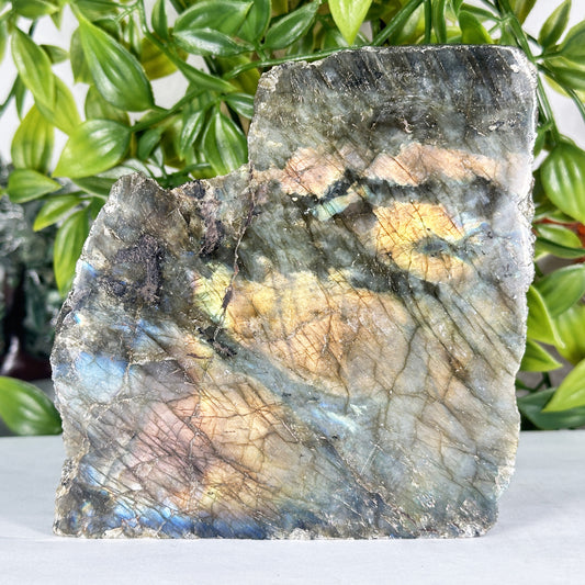 Natural Madagascar Labradorite Freeform Polished Stone with Golden and Blue Flash - RPS559