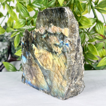 Natural Madagascar Labradorite Freeform Polished Stone with Golden and Blue Flash - RPS559