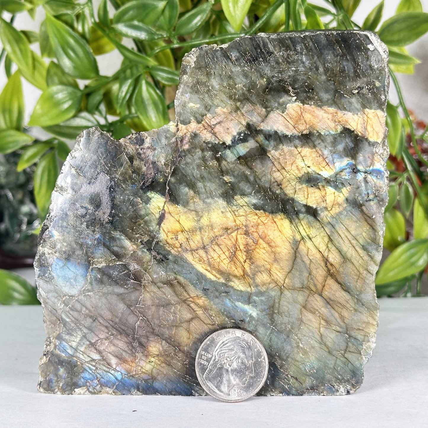 Natural Madagascar Labradorite Freeform Polished Stone with Golden and Blue Flash - RPS559