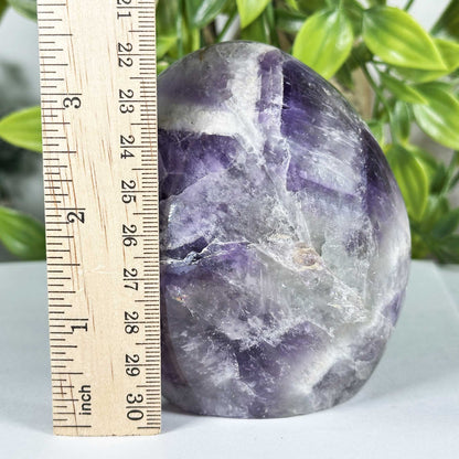 Amethyst Gemstone Freeform - Gem Avenue Retail