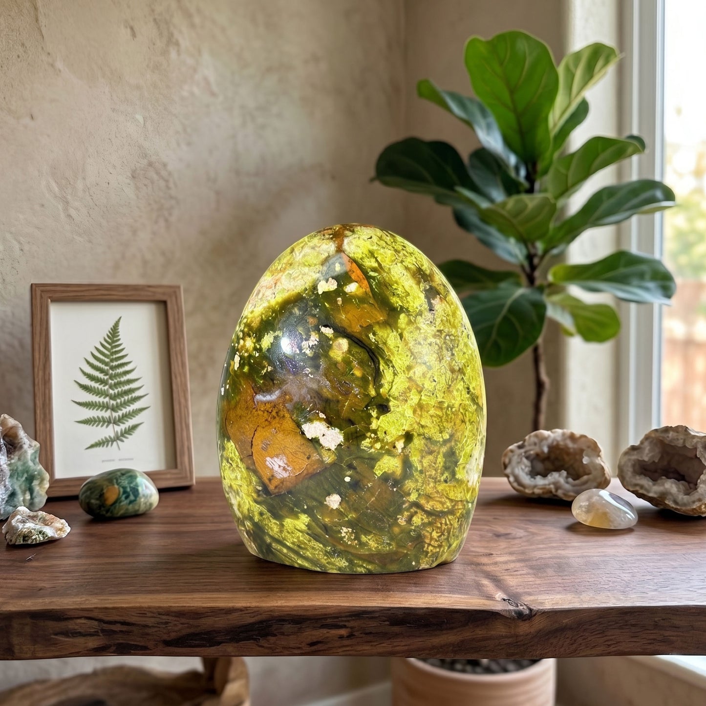 Natural Green Opal Freeform Polished Crystal Madagascar 4.5" Decorative Healing Stone Specimen