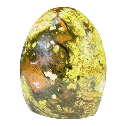 Natural Green Opal Freeform Polished Crystal Madagascar 4.5" Decorative Healing Stone Specimen