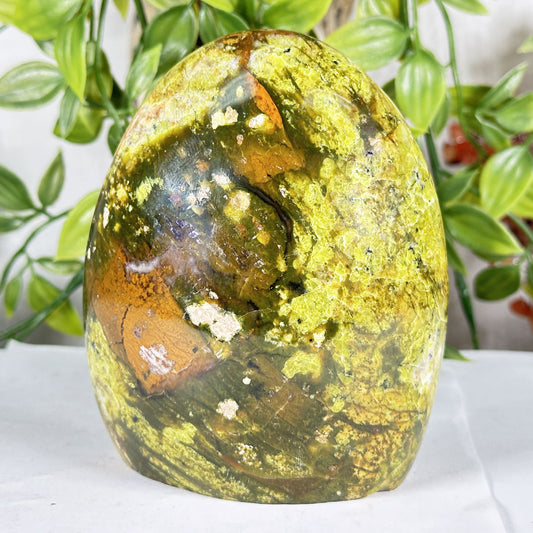 Natural Green Opal Freeform Polished Crystal Madagascar 4.5" Decorative Healing Stone Specimen