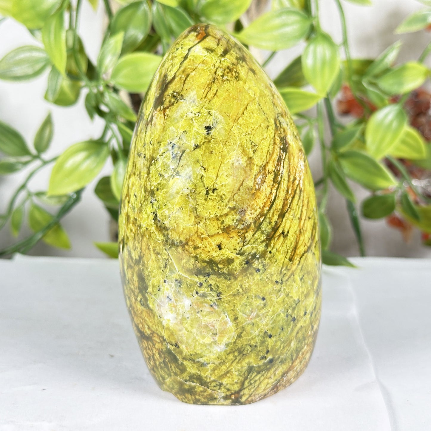 Natural Green Opal Freeform Polished Crystal Madagascar 4.5" Decorative Healing Stone Specimen