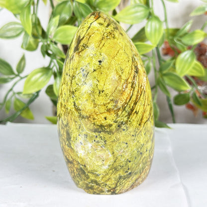 Natural Green Opal Freeform Polished Crystal Madagascar 4.5" Decorative Healing Stone Specimen