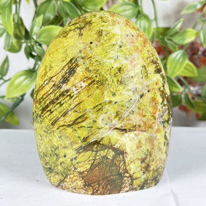 Natural Green Opal Freeform Polished Crystal Madagascar 4.5" Decorative Healing Stone Specimen