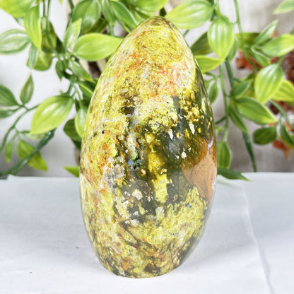 Natural Green Opal Freeform Polished Crystal Madagascar 4.5" Decorative Healing Stone Specimen