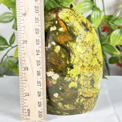 Natural Green Opal Freeform Polished Crystal Madagascar 4.5" Decorative Healing Stone Specimen