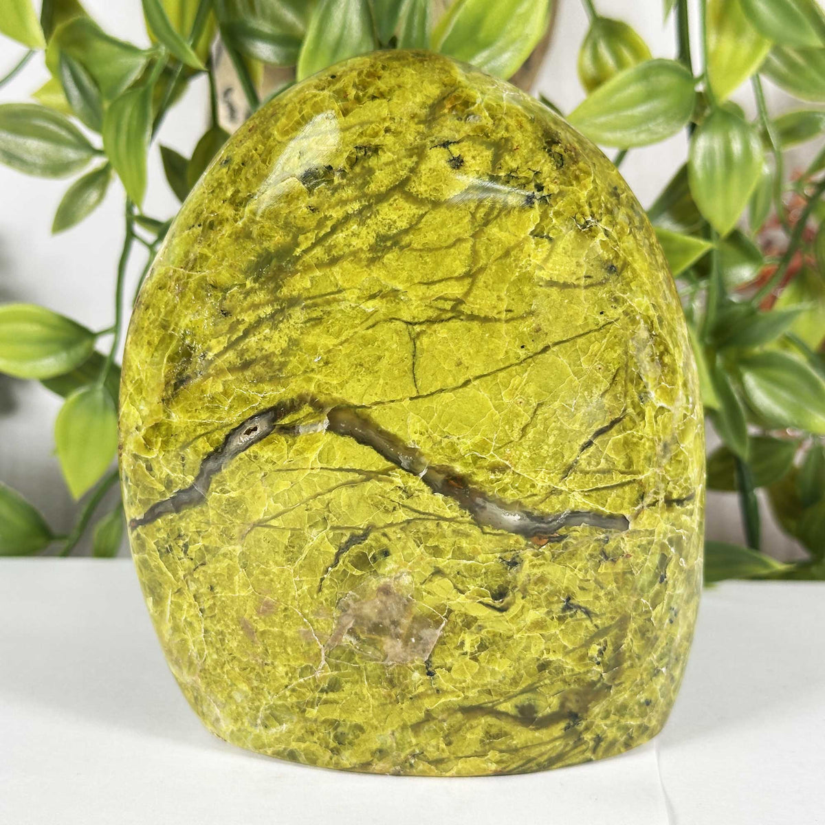 Green Opal Polished Freeform - Gem Avenue Retail