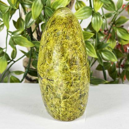 Green Opal Polished Freeform - Gem Avenue Retail