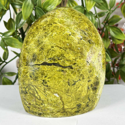 Green Opal Polished Freeform - Gem Avenue Retail