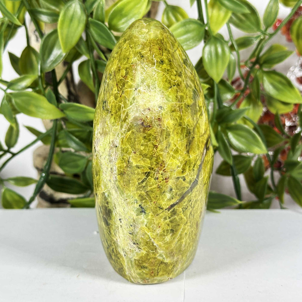 Green Opal Polished Freeform - Gem Avenue Retail