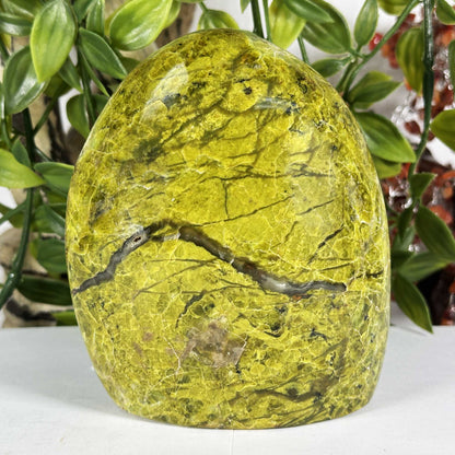 Green Opal Polished Freeform - Gem Avenue Retail
