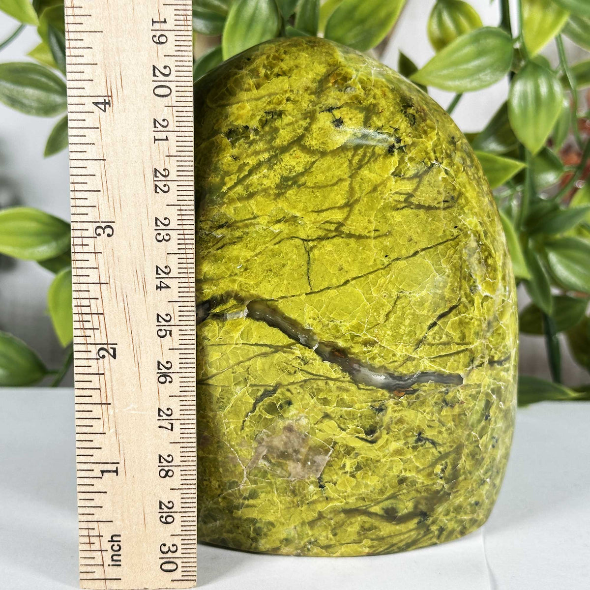 Green Opal Polished Freeform - Gem Avenue Retail