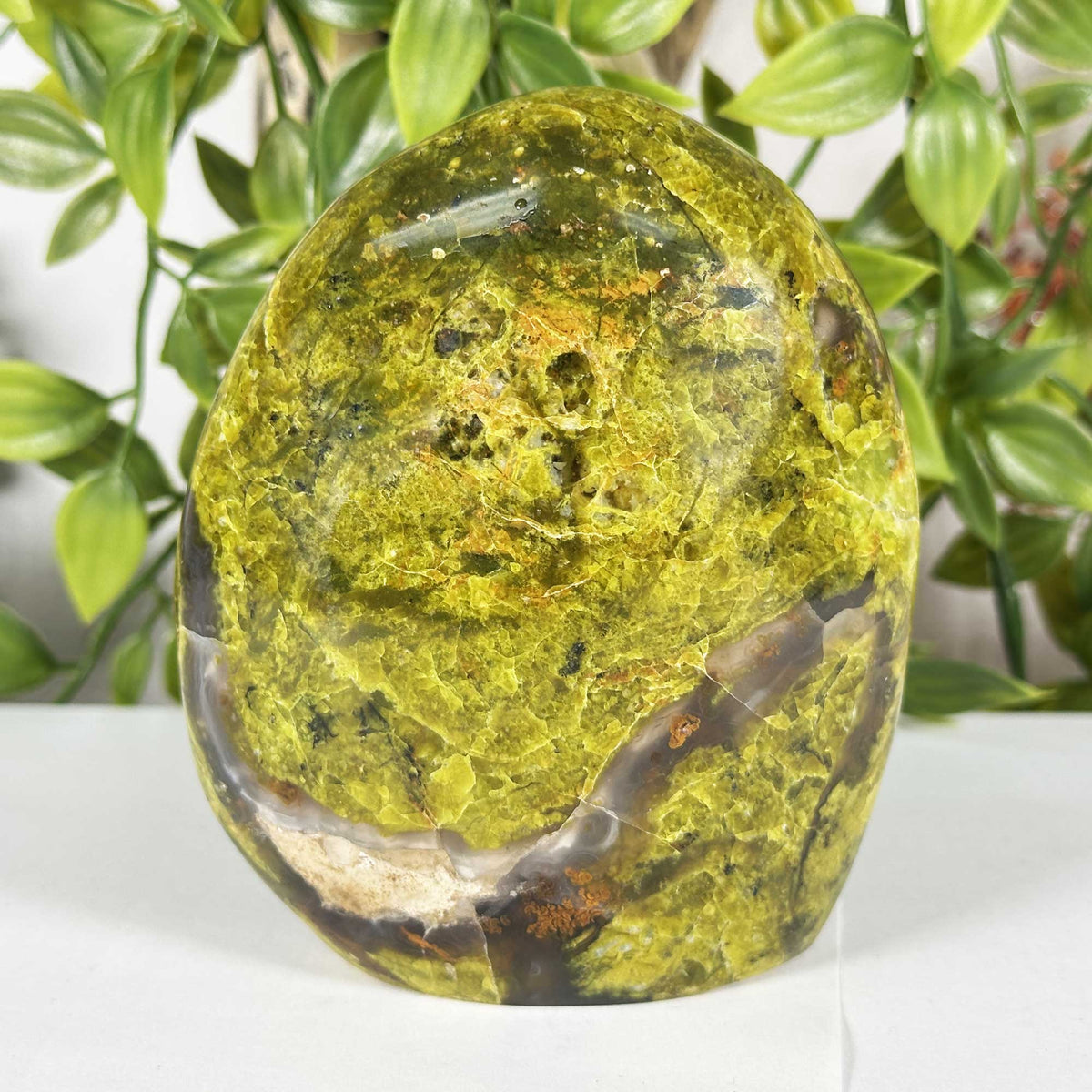 Green Opal Gemstone Freeform - Gem Avenue Retail