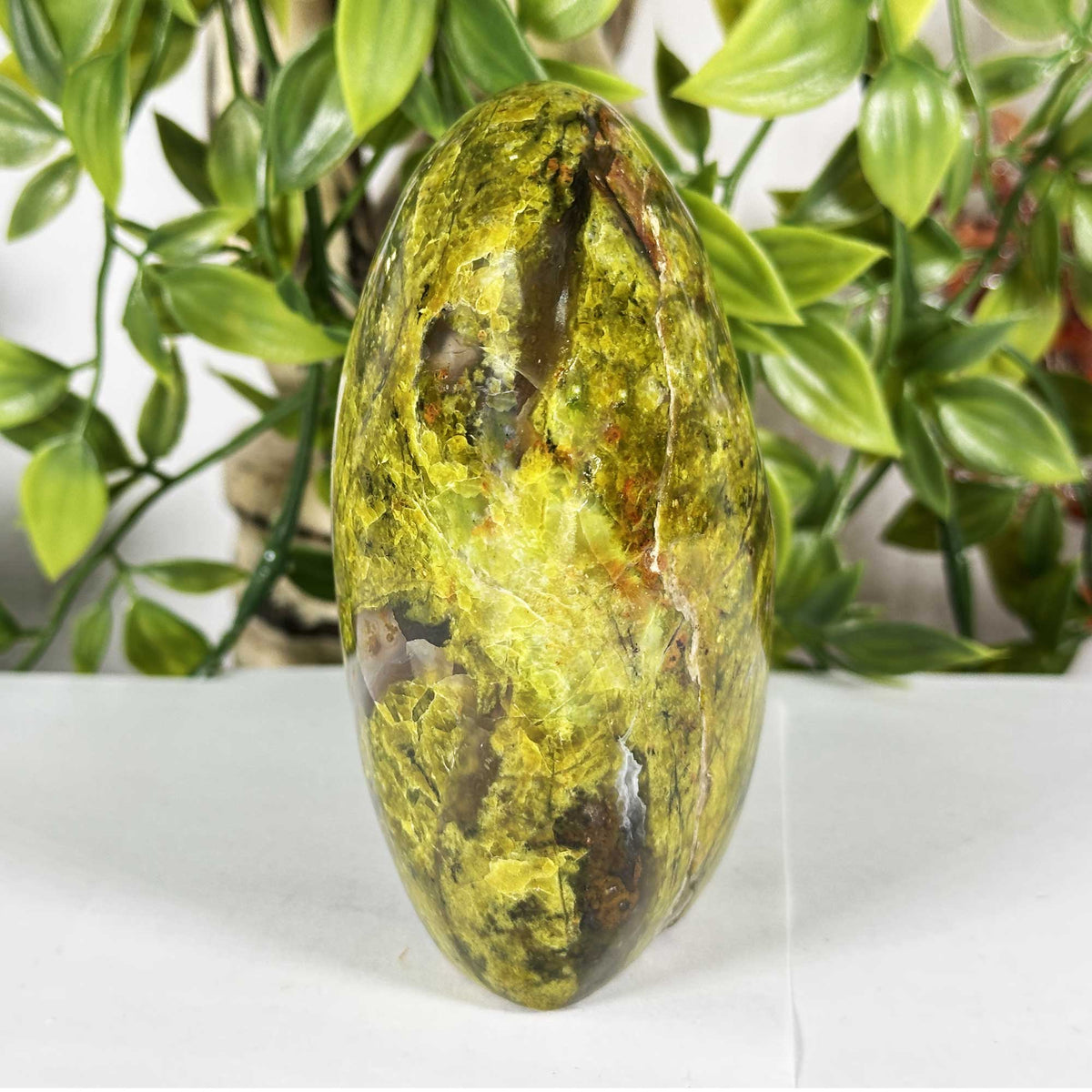 Green Opal Gemstone Freeform - Gem Avenue Retail