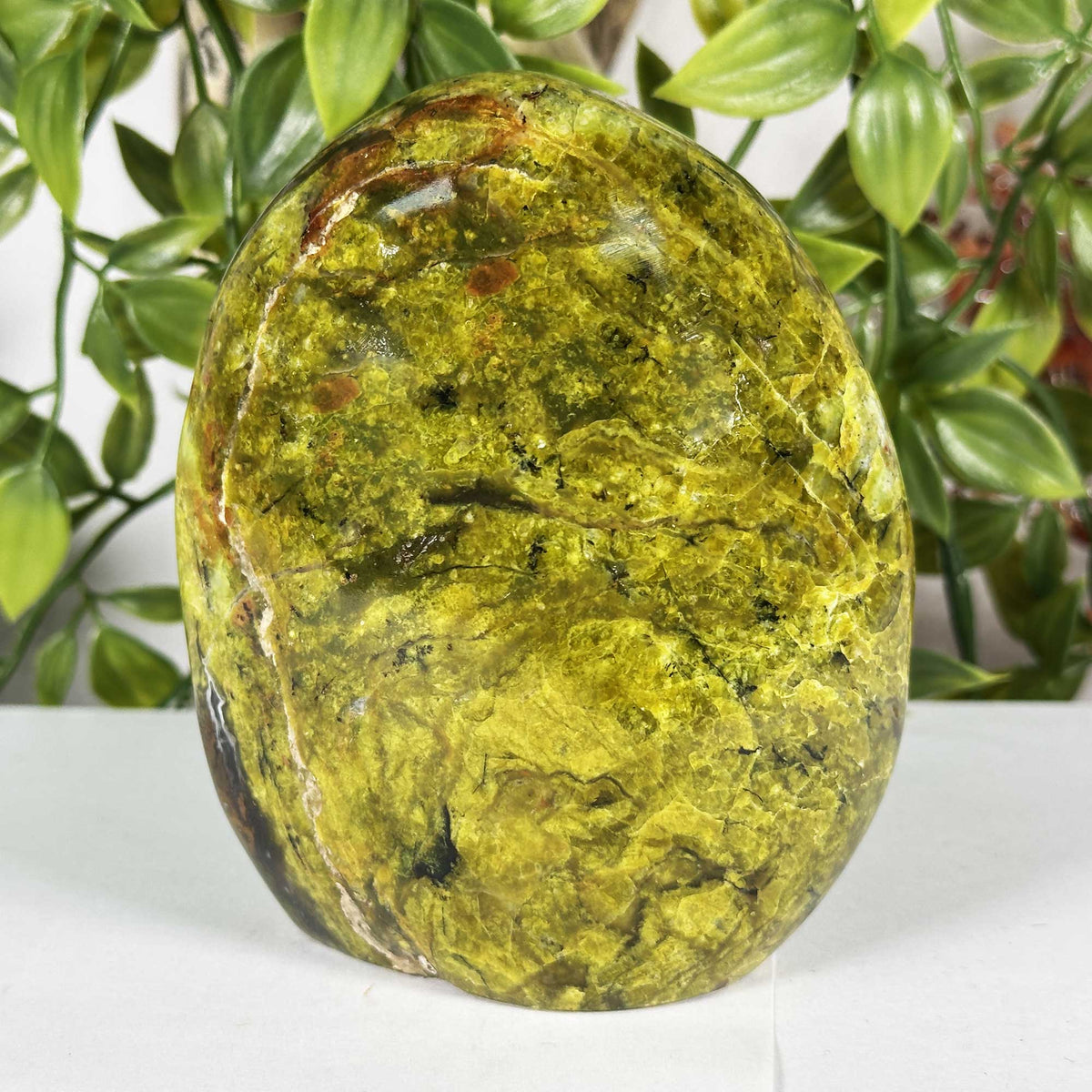 Green Opal Gemstone Freeform - Gem Avenue Retail