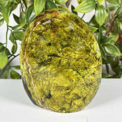 Green Opal Gemstone Freeform - Gem Avenue Retail