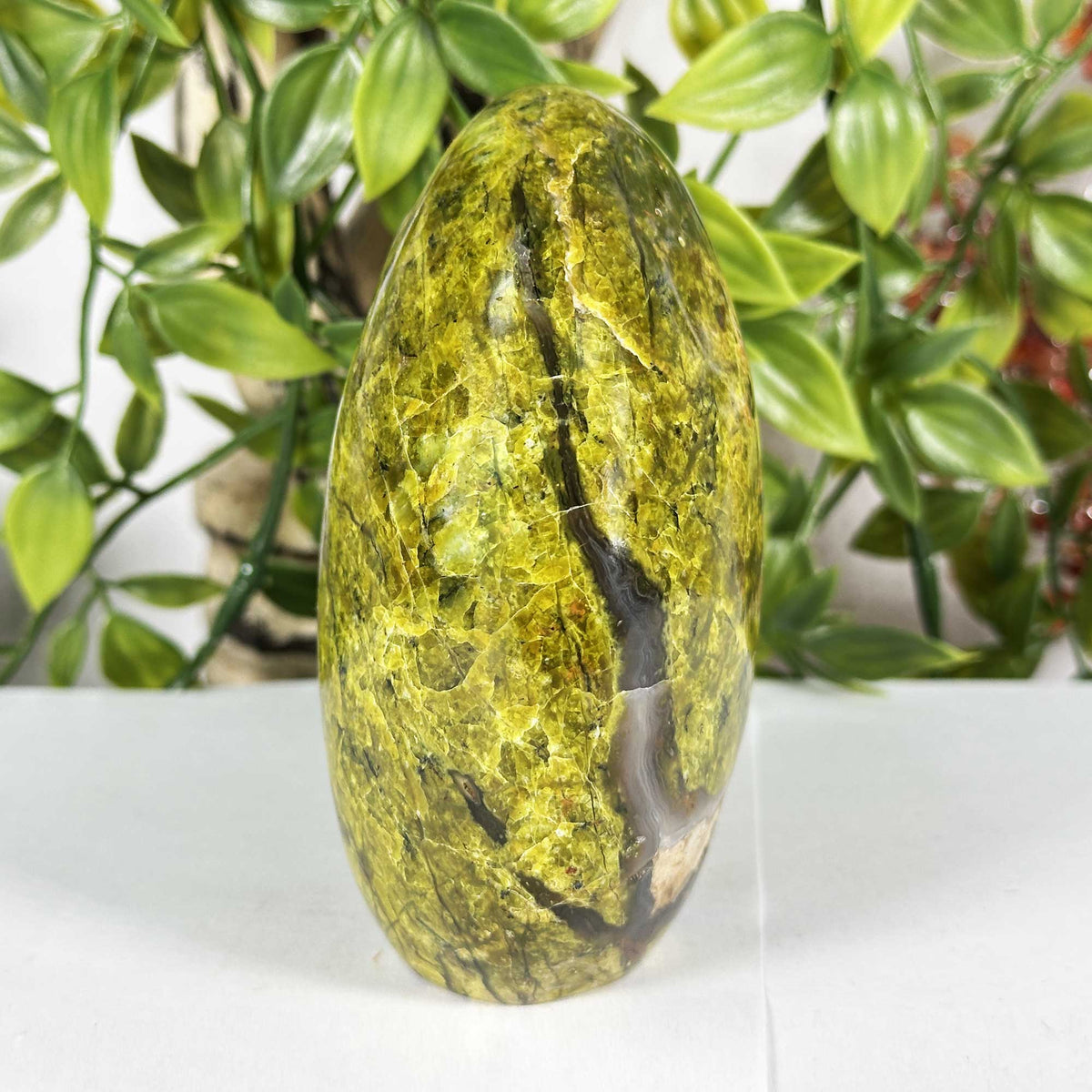 Green Opal Gemstone Freeform - Gem Avenue Retail