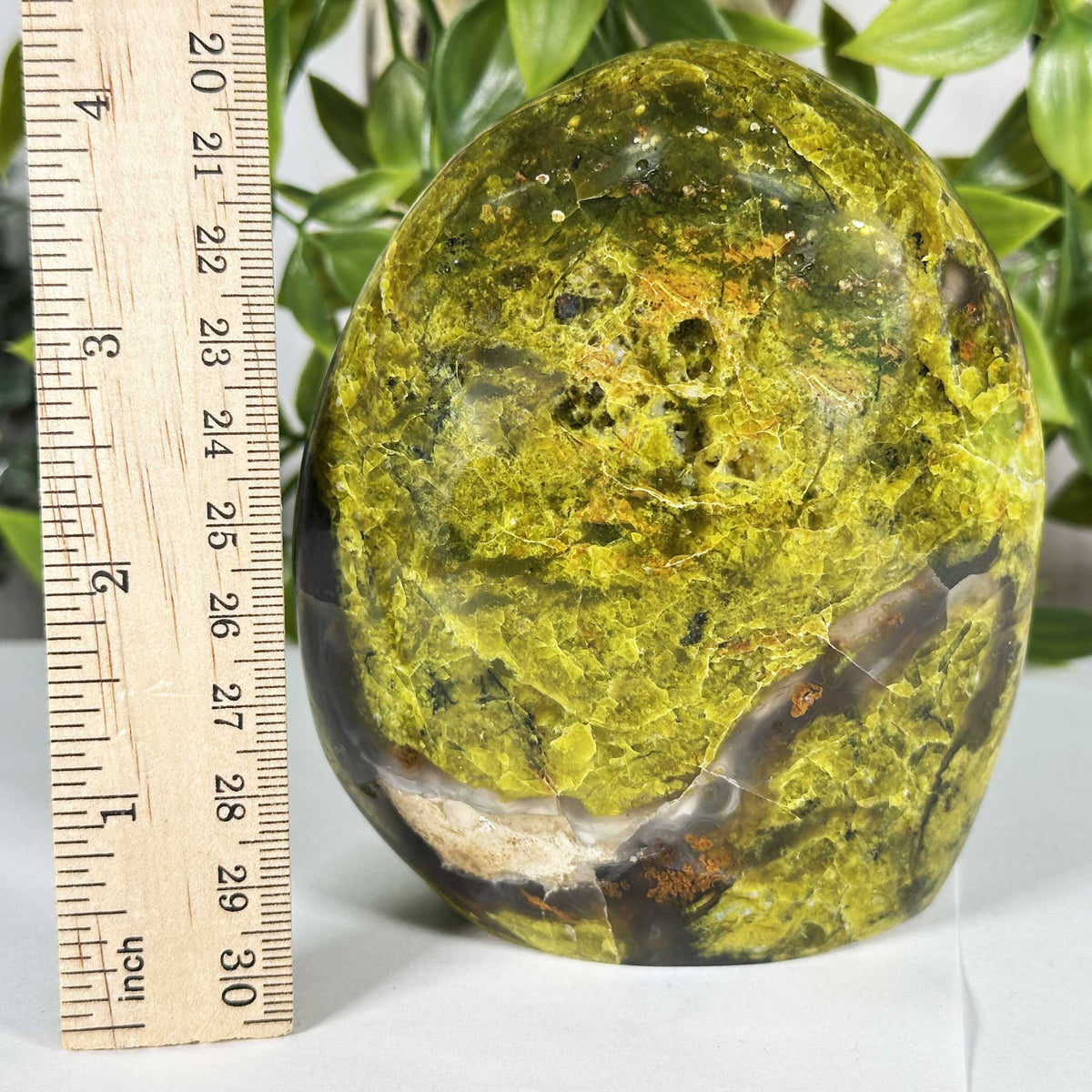 Green Opal Gemstone Freeform - Gem Avenue Retail