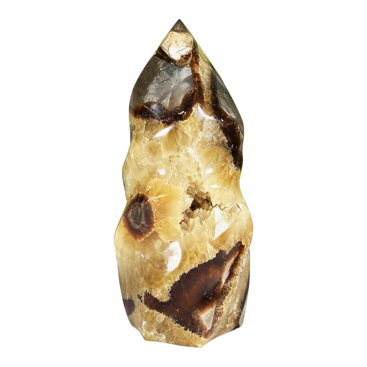 Septarian Gemstone Freeform - Gem Avenue Retail