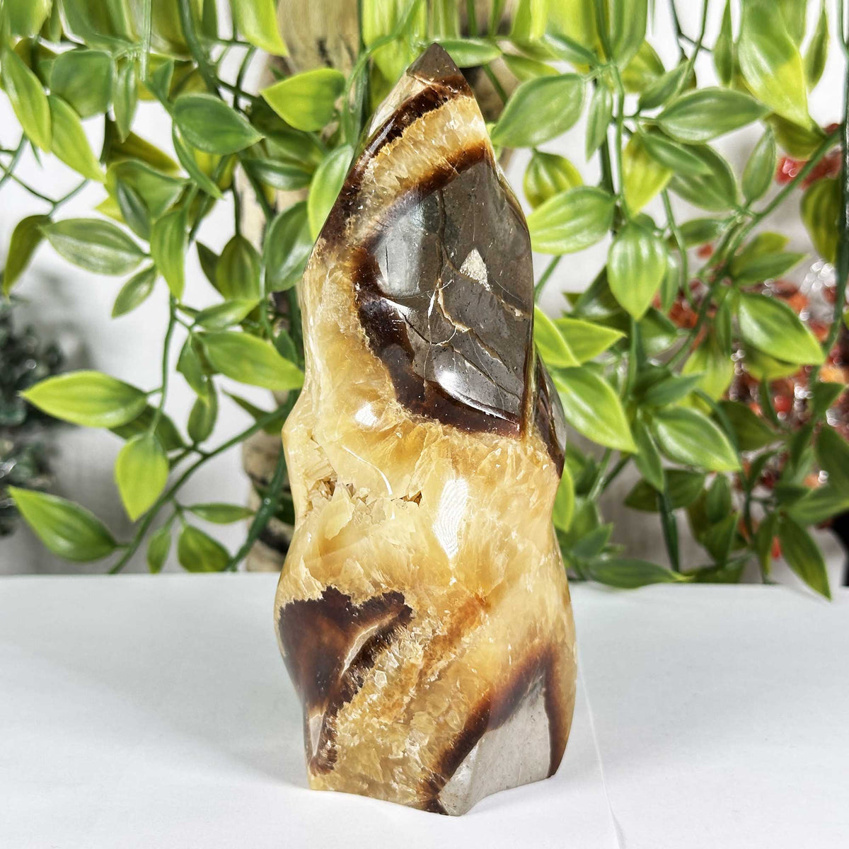 Septarian Gemstone Freeform - Gem Avenue Retail