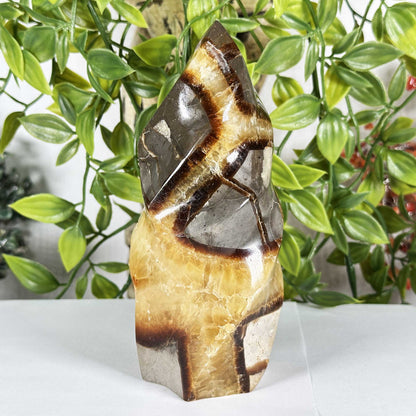 Septarian Gemstone Freeform - Gem Avenue Retail